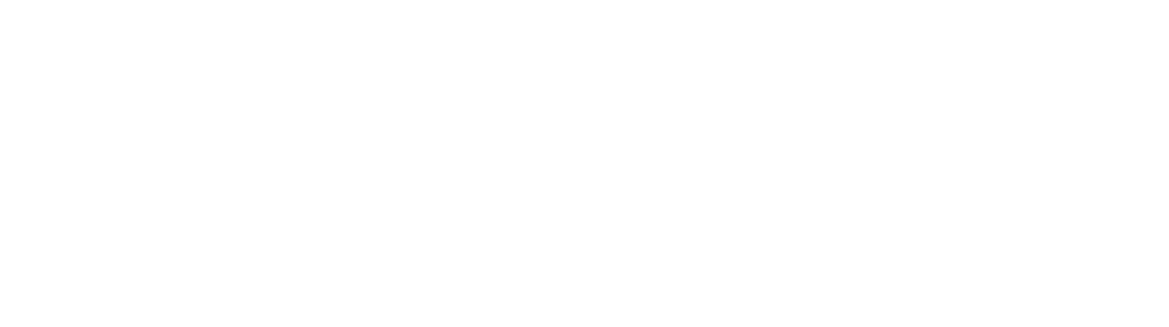 Zillautography logo